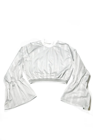 Astrid Silver Metallic Mesh Crop Top