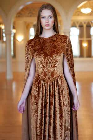 Arabella Embossed Bronze Velvet Gown