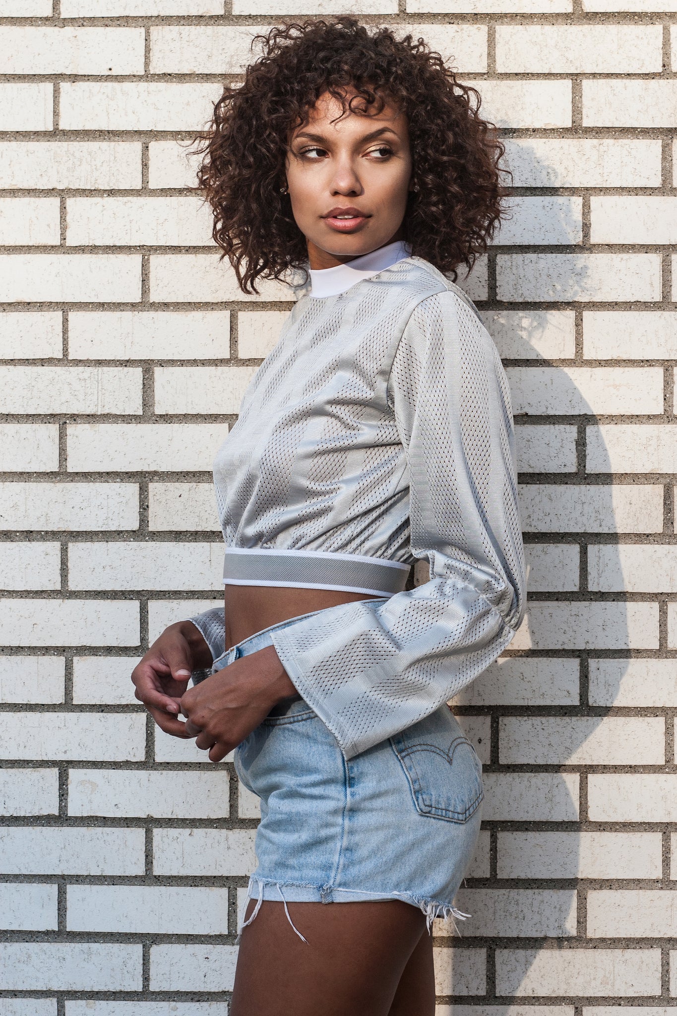 Astrid Silver Metallic Mesh Crop Top